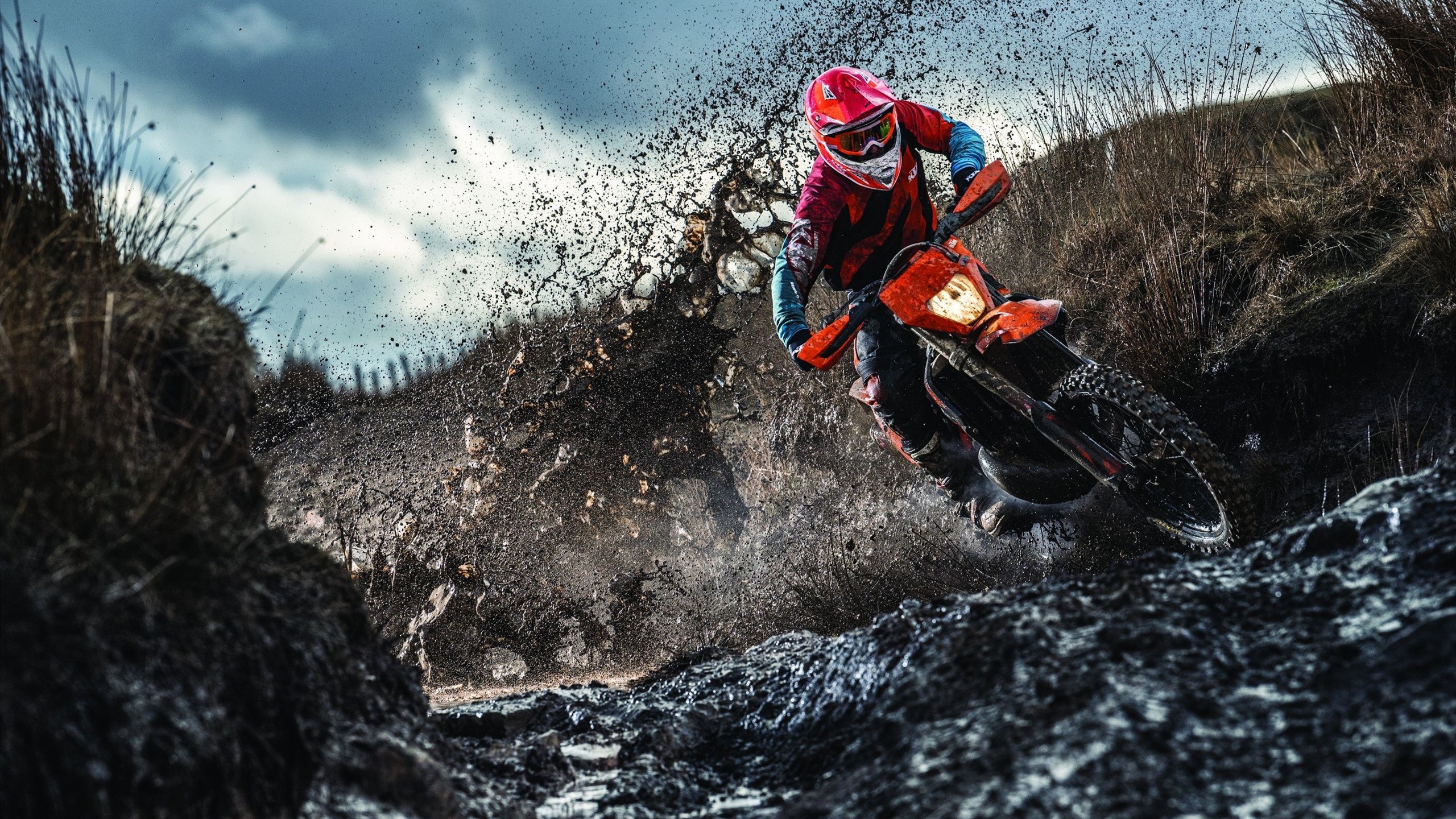 女运动员在竞技体育中面临的挑战,今天依然存在的女性参与体育的障碍有哪些